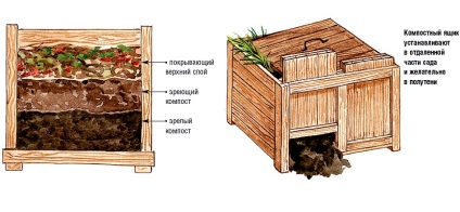 Ghid de compost la domiciliu