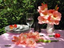 Gladiolus - descriere cu fotografie; cresterea unei flori; utilizare în gătit și tratament