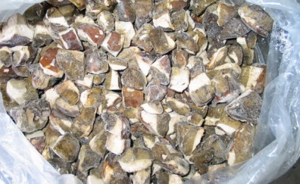 Гриб гнойовик - фото і опис різновидів, приготування їстівних видів, гриб гнойовик від