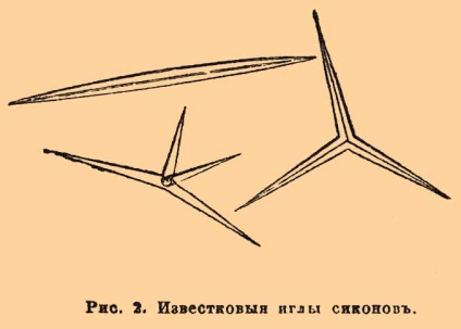 Губки - це