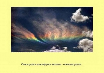 Гумі добриво інструкція та застосування, відгуки і ціна для голд і плюс омі, порадник