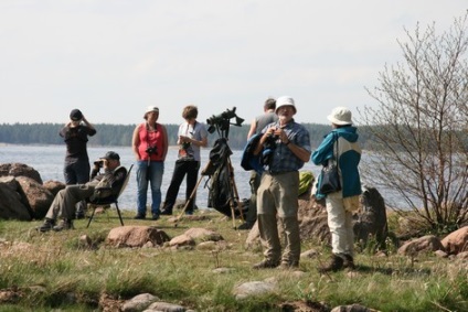 Liba vonzzák kíváncsi turisták, hogy Finnország