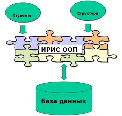 Sistem informatic iris