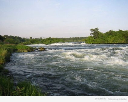 Érdekességek a Nílus folyó - a legérdekesebb hely a város Boyarka