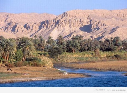 Érdekességek a Nílus folyó - a legérdekesebb hely a város Boyarka