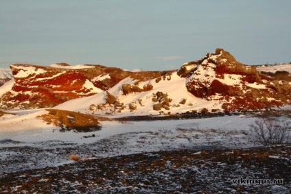 Pădurea islandeză în timpul iernii, misterioasa Islanda