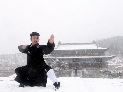 Istoria și legendele stilului Wing Chun