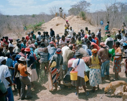 Povestea morții elefantului din Zimbabwe - știri în fotografii