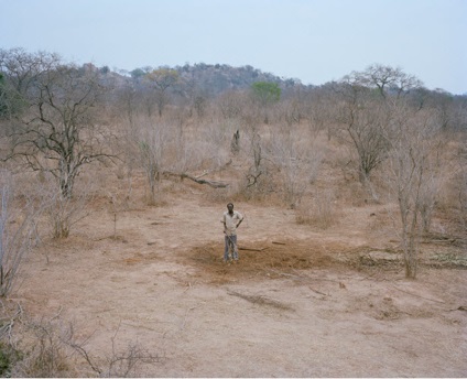 Povestea morții elefantului din Zimbabwe - știri în fotografii