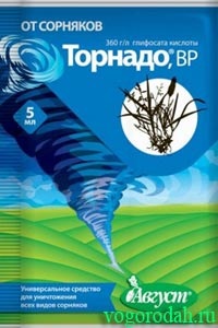 Як позбутися від мокриці на городі