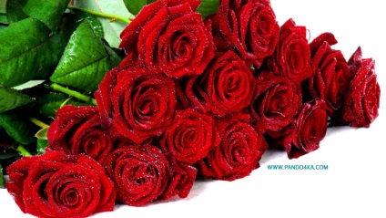 Cum poți folosi petale de trandafiri roșii