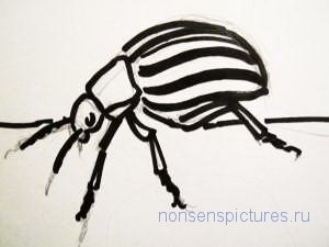Як намалювати колорадського жука, блог художника-графіка Новікової марини мала книга нісенітниці