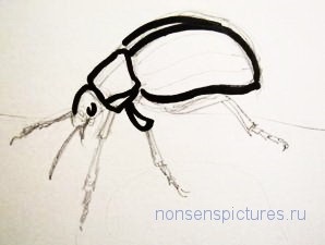 Cum de a desena un gândac de Colorado, un blog al unui artist grafic al unui marinar novice o mică carte de prostii