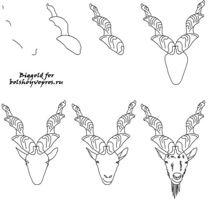 Як намалювати гвинторогого козла поетапно