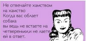 Як спілкуватися з хамами, проводимо дозвілля з