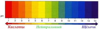 Як визначити кислотність шлунка в домашніх умовах без гастроскопії самостійно підвищена або