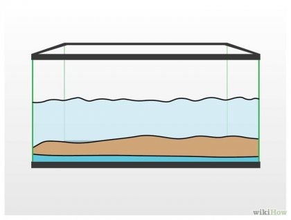 Як почистити акваріум водоплавної черепахи