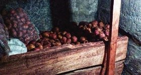 Cum să păstrați mai mult legumele proaspete, alfabetul cabanei