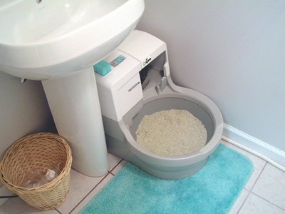 Cum de a alege locul potrivit pentru toaleta unei pisici, zoodom