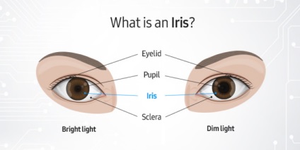 Як працює сканер райдужної оболонки ока iris в galaxy note 7