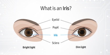 Cum funcționează scanerul pentru iris iris în nota 7 a galaxiei