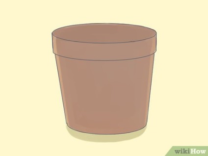 Cum să plantați copacii în recipiente
