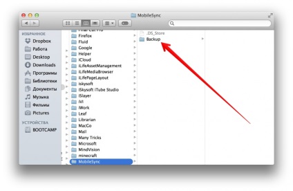Cum se face o bibliotecă de foldere în OS x vizibil, service și repara Apple
