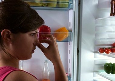 Cum să curățați mucegaiul în frigider, ce să faceți, cum să scăpați de mirosul neplăcut al mucegaiului