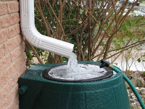 Cum de a alege un baril pentru apă la un tip de dacha de materiale și caracteristici de funcționare a tobe pentru cabane