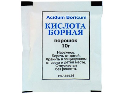 Як вивести мурах з квартири ефективні методи