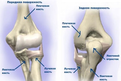 Cum sa protejati articulatiile si ligamentele in timpul antrenamentului, un corp sanatos