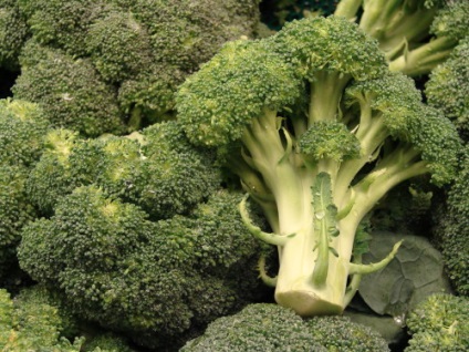 Broccoli varză, plantare și îngrijire în aer liber