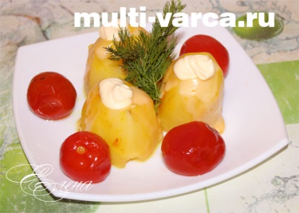 Burgonya Dauphin multivarka (multivarka) Burgonya Dauphin multivarka