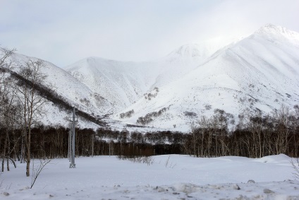 Каюрів день