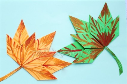 Maple levelek a szakterületen Origami (levél) Juharlevél a origami technikával