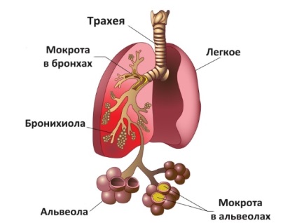 Коли призначається суспензія амоксиклав для дітей