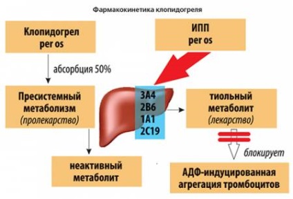 Коморбідних в кардіології погляд клінічного фармаколога - 03 грудень 2015