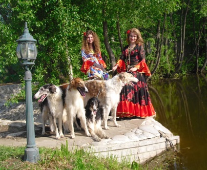 Кінні полювання з хортами, княжа садиба золотий дзвін - історичні полювання Лаир (фото, відео)