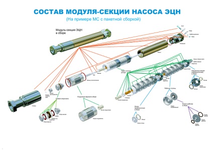 Proiectarea și specificațiile modulelor