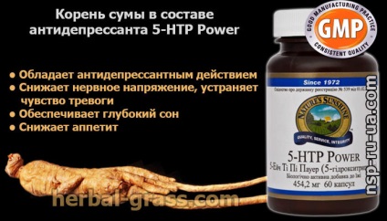 Rădăcină de supă (ginseng brazilian) - proprietăți utile, medicinale, aplicații în preparate (rele) în