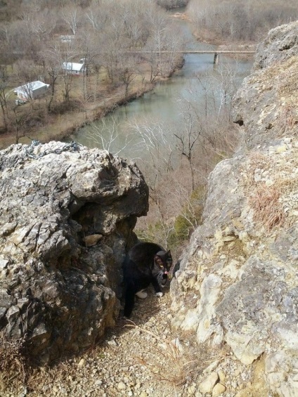 Cat-alpinist, va arata calea))