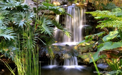 Красиві штучні водоспади в саду