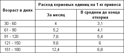 Rabbit în jos