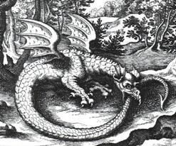 Ki a baziliszkusz gyík, sárkány vagy király kígyó legendája a baziliszkusz