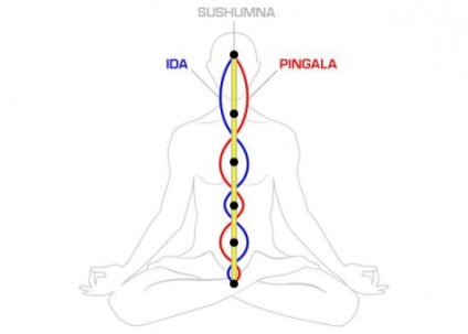 Kundalini (kundalini), yoga, slavyoga