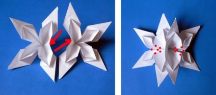 Kusudama 