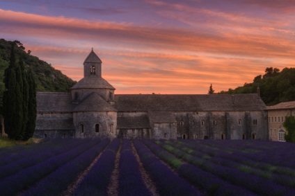 Lavender Provence Fields