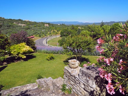 Provence câmpuri lavanda, știu în străinătate