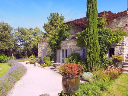 Provence câmpuri lavanda, știu în străinătate