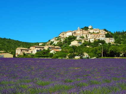 Provence câmpuri lavanda, știu în străinătate